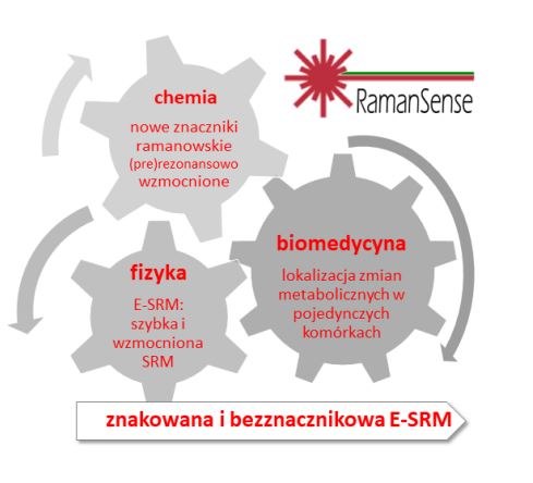 RamanSense: Metabolomika oparta na wzmocnionej stymulowanej mikroskopii ramanowskiej (prof. dr hab. Małgorzata Barańska)