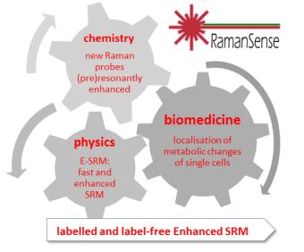 RamanSense: Metabolomics based on Enhanced Stimulated Raman Microscopy (prof. dr hab. Małgorzata Barańska)